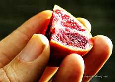 Picture of vitamin c boosting citrus fruits for auto immune disorders