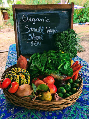 Picture of Weekly Food Co-op organic produce vegetable share