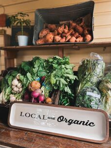 Picture of local gardener picking fresh organic produce.